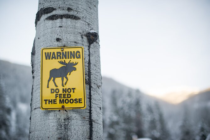 The BANFF NATURE Walk - 2hr Adventure - Is $81.56 per person fair?