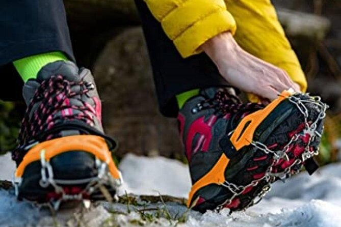 The BANFF NATURE Walk - 2hr Adventure - Why the small group matters
