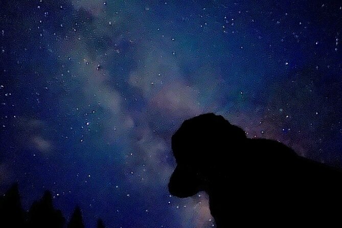 The Banff Stargazing Tour - 2hr Walking Tour - Learning the sky with Kael, Ewan, Ben, and Isla