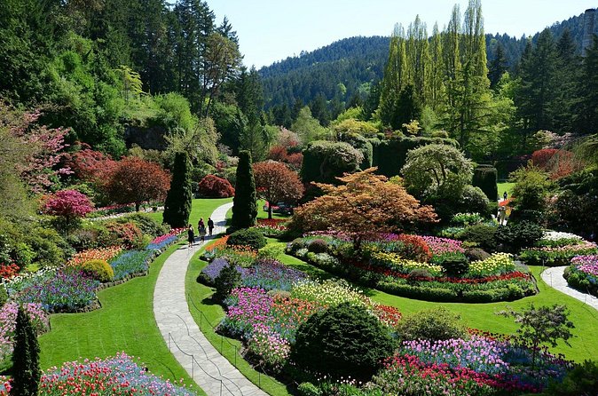 The Butchart Gardens Express Shuttle from Downtown Victoria - Return buses and the importance of the clock