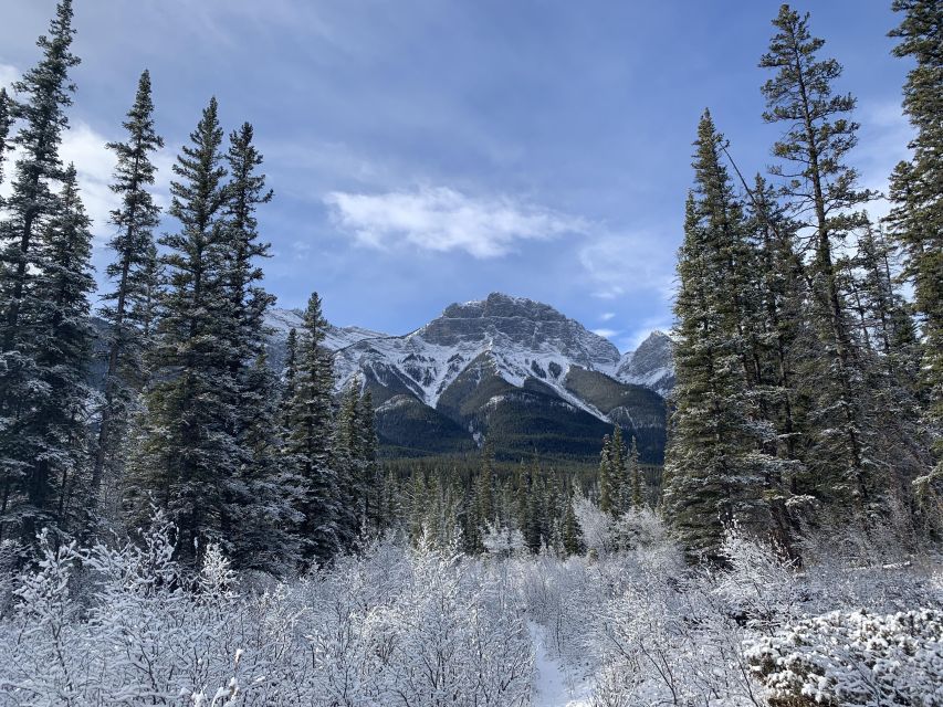 The Canmore HISTORY TOUR - Cowboys and Coal Miners 2H Walk - Should you book the Cowboys and Coal Miners tour?