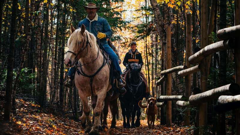 The Montagnarde: Guided horseback ride on mountain trails. - What to wear for a comfortable ride