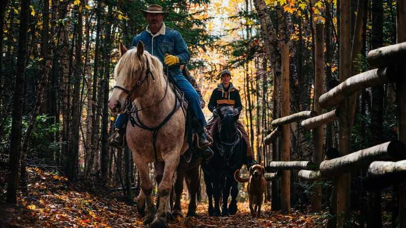 The Montagnarde: Guided horseback ride on mountain trails. - Is $122 a fair price?