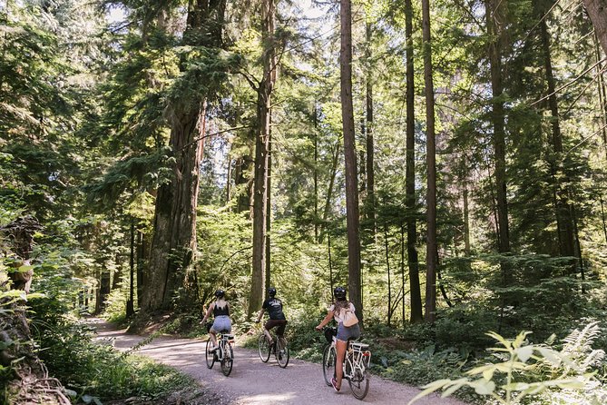 The Stanley Park Bicycle Tour by Cycle City Tours - Why a bike is the right way to see Stanley Park