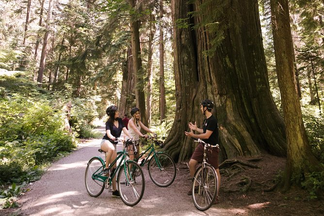 The Stanley Park Bicycle Tour by Cycle City Tours - Stanley Park’s forest trails and Beaver Lake