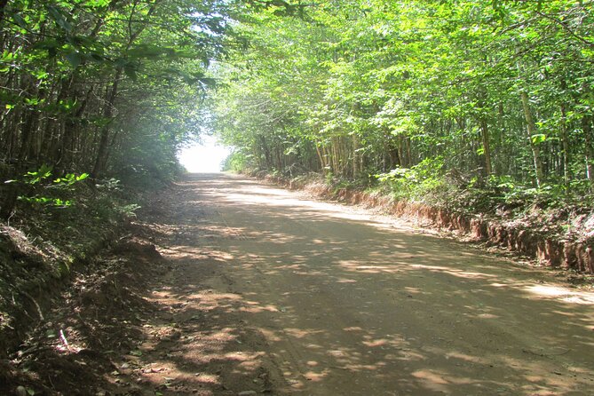 The Ultimate Anne of Green Gables Private Tour - French River is a ten-minute picture stop