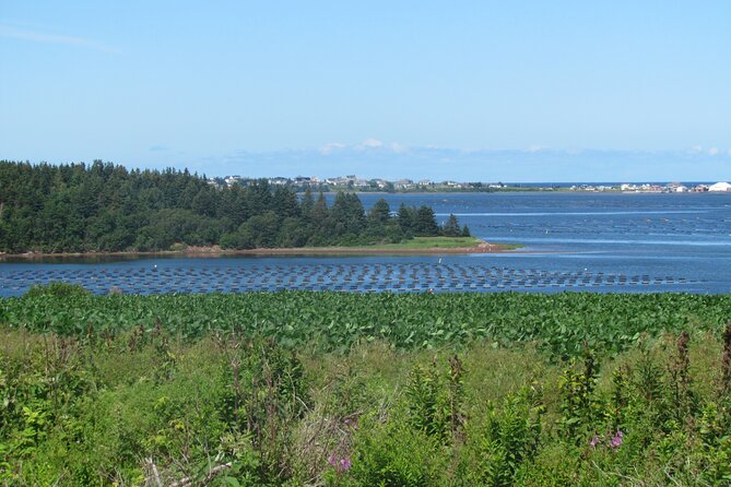 The Ultimate Anne of Green Gables Private Tour - The ride back through New Glasgow completes the loop