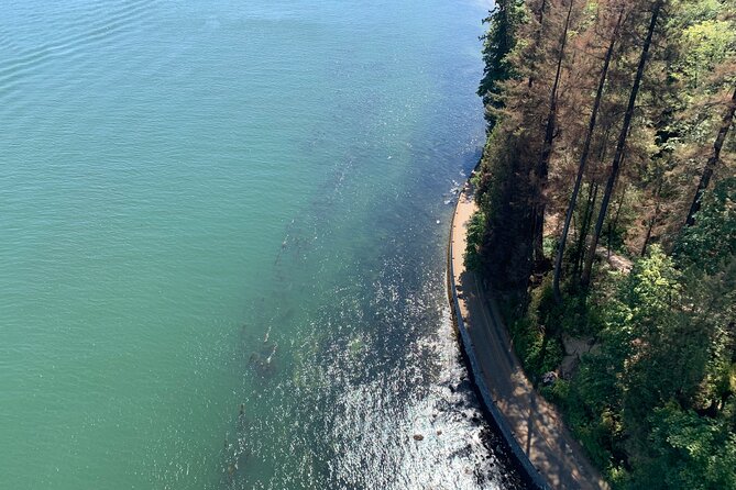 The Ultimate Stanley Park E-Bike Tour - Totem poles, Brockton Point, and the park’s human stories