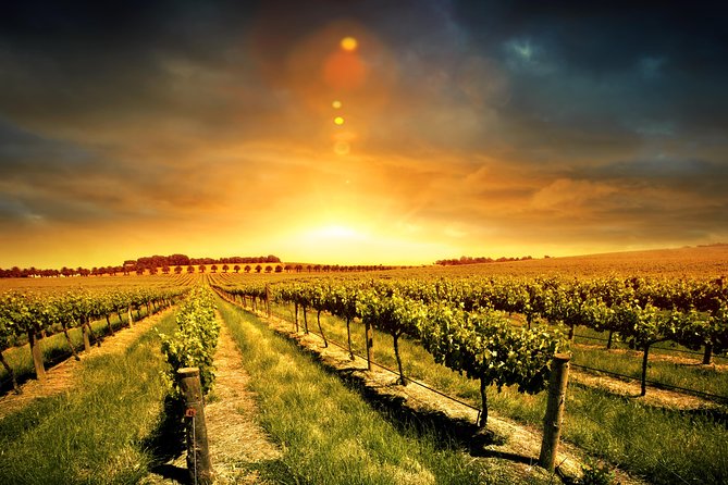 Three Courses Lunch and Wine Tour Through Niagara's Wine Country - Starting the day from Niagara Falls