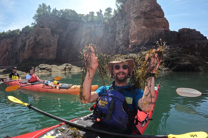 Three Sisters Sea Kayaking Day Tour - What the $149.45 price includes