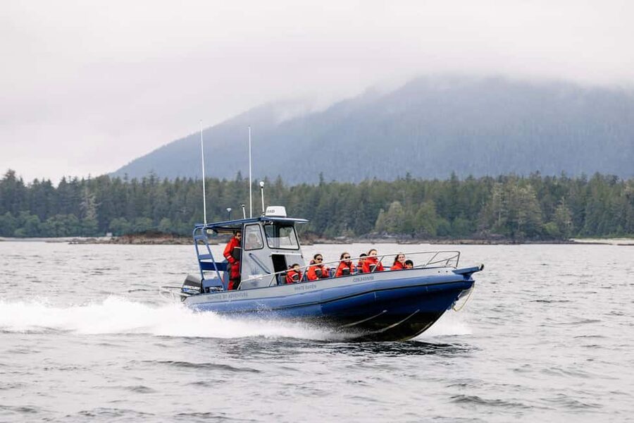 Tofino: Whale Watching Tour with Nature Guide - Starting at the Marine Adventure Centre