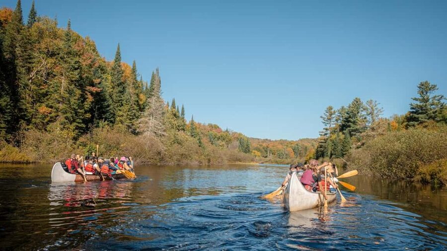 Toronto: Algonquin Park and Ragged Falls Day Trip - Why this makes a worthwhile escape from Toronto