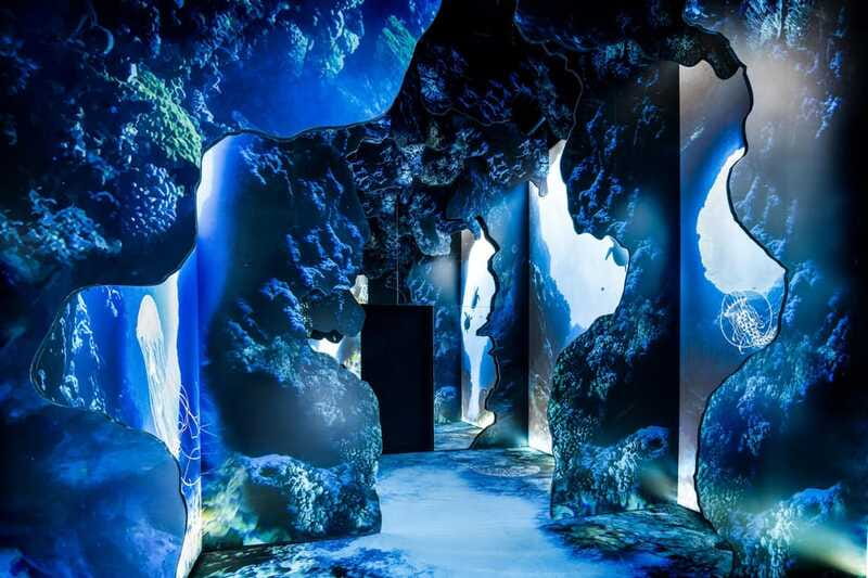 Toronto: Arcadia Earth, Immersive Experience Anytime Ticket - How long to allow and when to arrive
