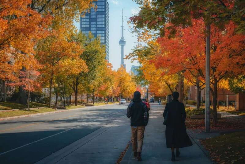 Toronto: City Highlights Walking Tour | 3-Hour - Finding your way through the PATH