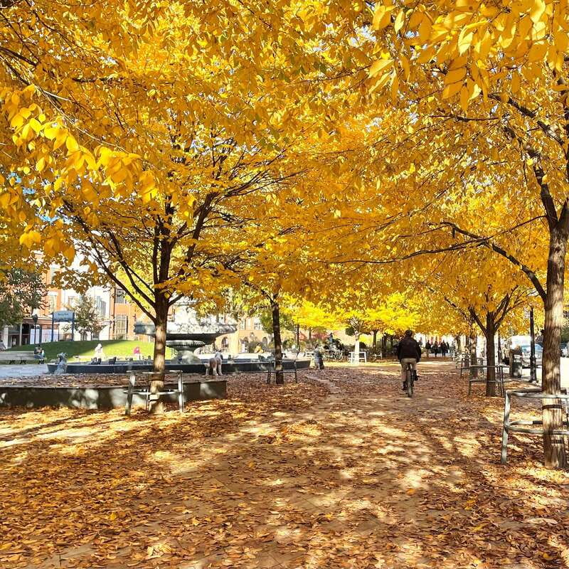 Toronto: City Walking Tour - The Entertainment District sets the city’s tone