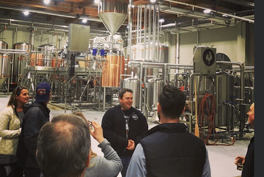 Toronto: Craft Brewery Tour - The best reasons to book, and the limits to note