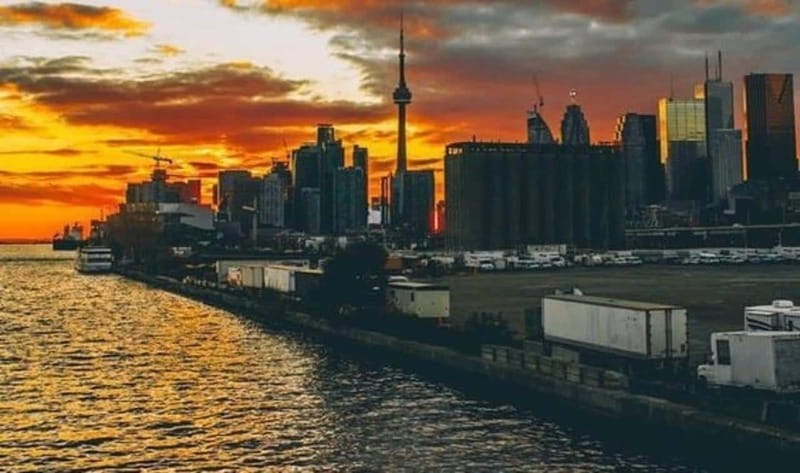 Toronto: Guided Walking Tour of Must-See Attractions - Chinatown through food, community, and street life