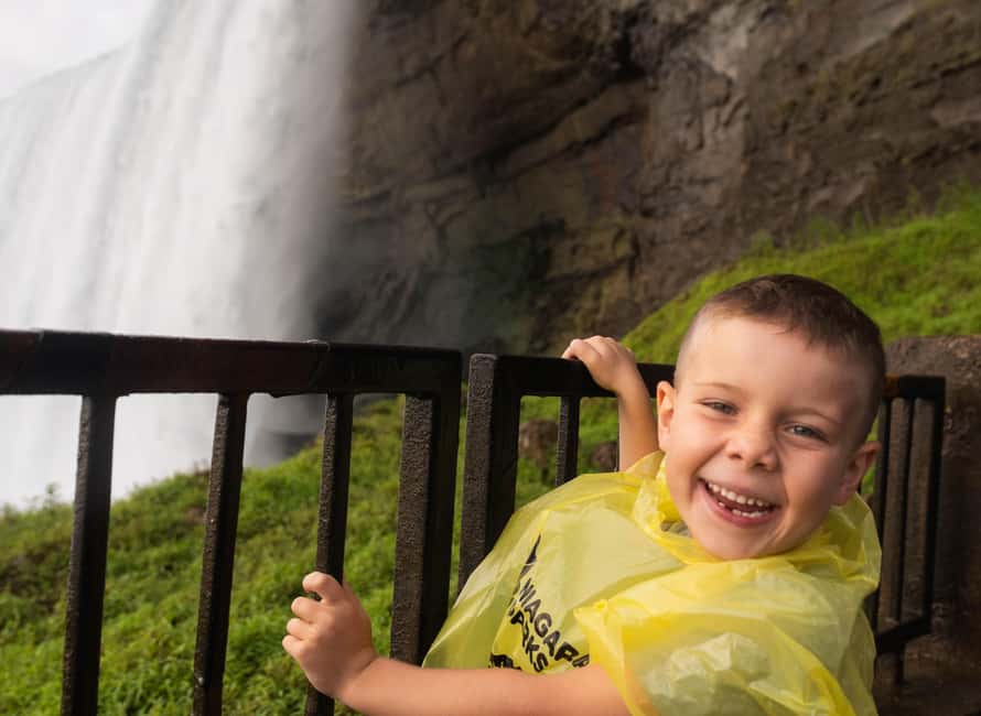 Toronto: Niagara Falls Bus Tour with Maple Tasting and NOTL - Is $51 a good price?