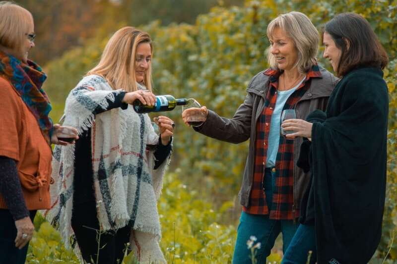 Toronto: Niagara Wineries Tasting Tour & Optional Lunch - Key points to know before booking