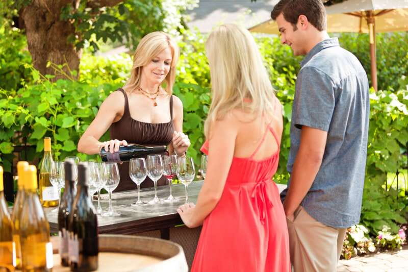 Toronto: Niagara Wineries Tasting Tour & Optional Lunch - Who should book this Niagara wine tour?