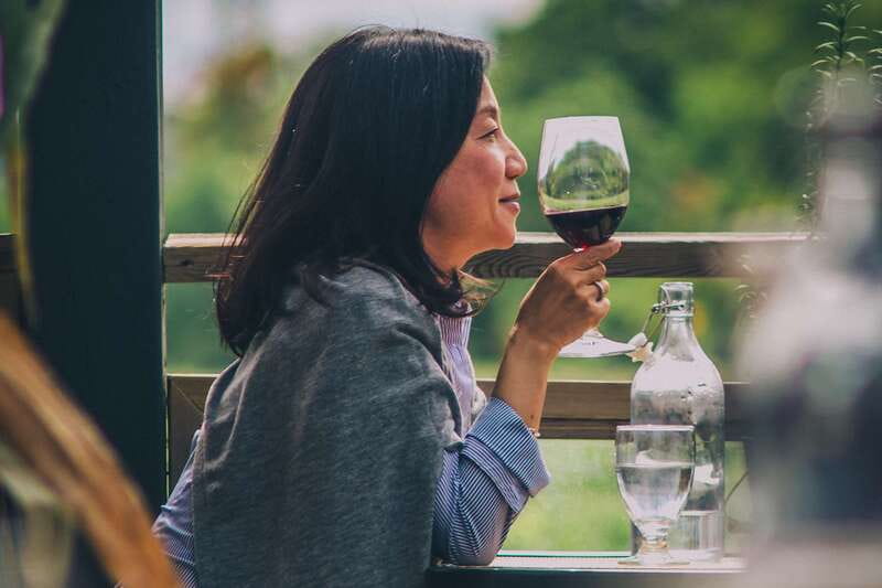Toronto: Niagara Wineries Tasting Tour & Optional Lunch - From Toronto to Niagara wine country