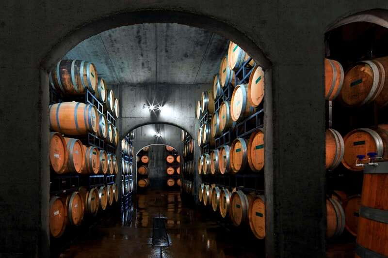 Toronto: Niagara Wineries Tasting Tour & Optional Lunch - The driver can make or break the day