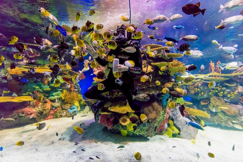 Toronto: Ripley's Aquarium of Canada Entry Ticket - Is $33 good value?