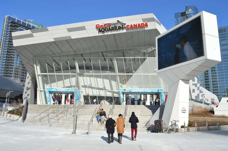Toronto: Ripley's Aquarium of Canada Entry Ticket - Nine galleries, from jellyfish to Canadian waters