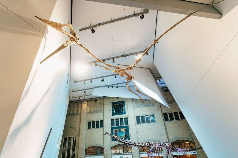 Toronto: Royal Ontario Museum Admission Ticket - Why the ROM works so well for a Toronto day