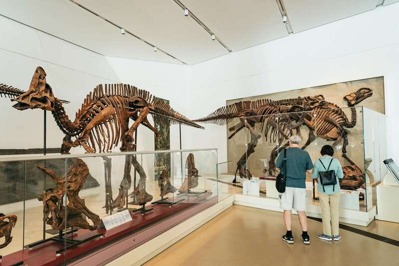 Toronto: Royal Ontario Museum Admission Ticket - Start with the dinosaurs and the origins of life