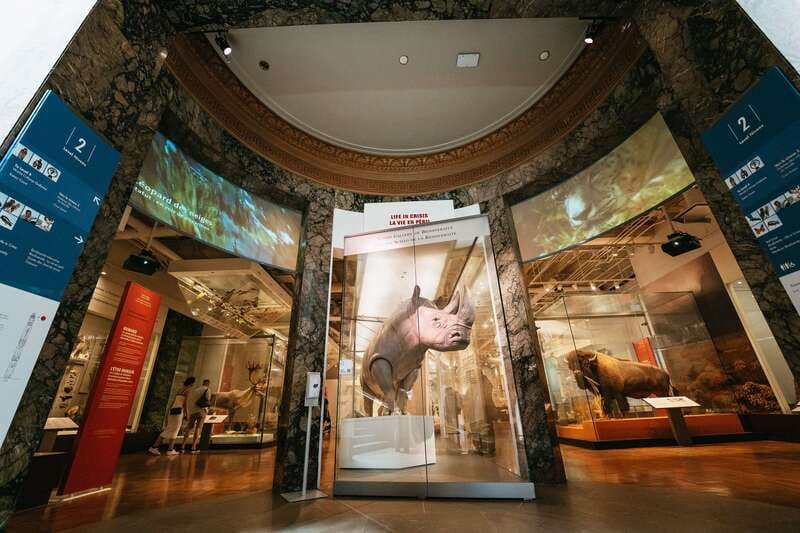 Toronto: Royal Ontario Museum Admission Ticket - Find the armor, animals, stones, and space objects