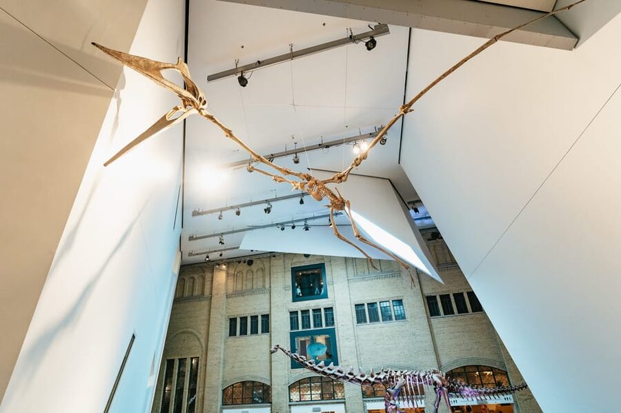 Toronto: Royal Ontario Museum Admission Ticket - Use the free tour to get your bearings