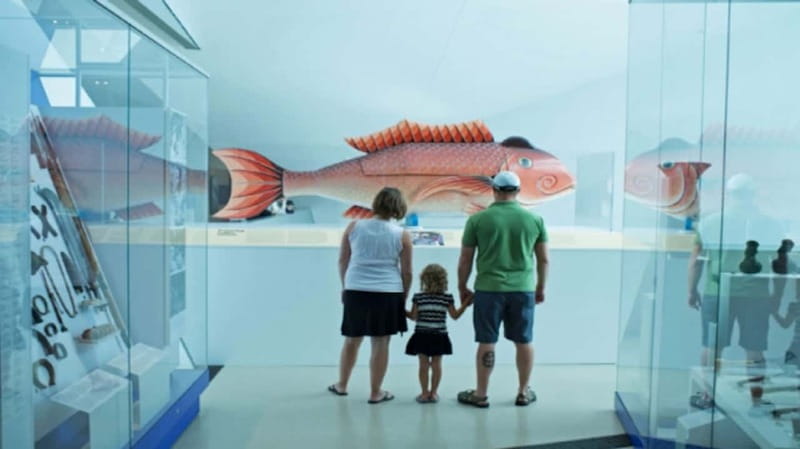 Toronto: Royal Ontario Museum Special Exhibits Voucher - A full day inside Toronto’s Royal Ontario Museum