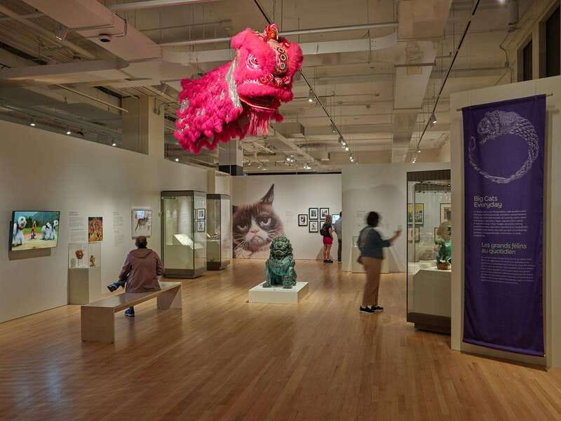 Toronto: Royal Ontario Museum Special Exhibits Voucher - Buddha sculptures and galleries from around the world