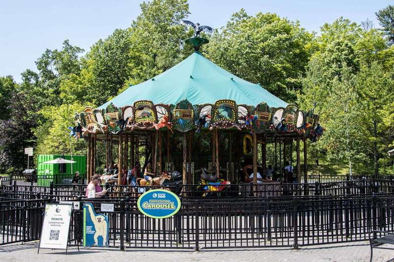 Toronto: Toronto Zoo Entry Ticket - FAQ