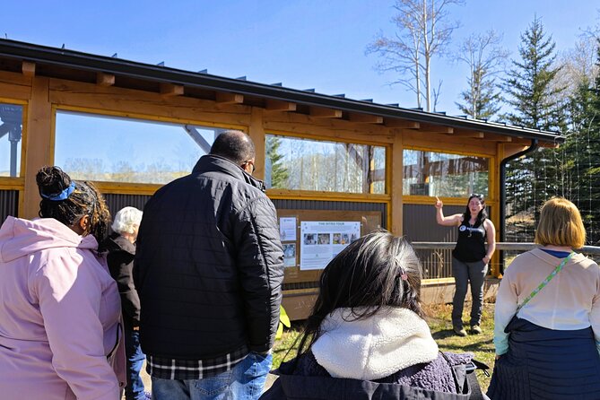 Transfer to Canmore & Banff: Yamnuska Wolfdog Sanctuary Tour - How the Canmore and Banff drop-off works