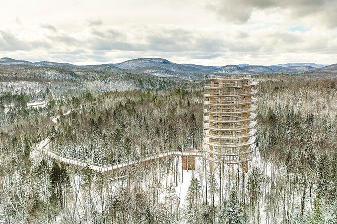 Treetop Observatory and Walk - Key points at a glance