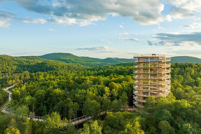 Treetop Observatory and Walk - The walk begins in the Laurentian woods