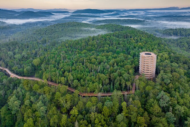 Treetop Observatory and Walk - What you see from the top