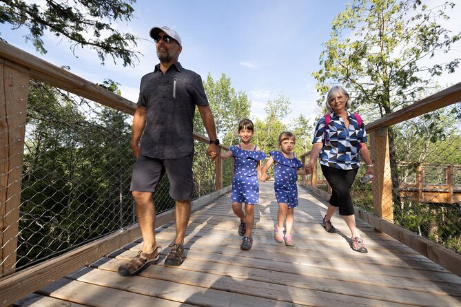 Treetop Observatory and Walk - Why the self-paced format works