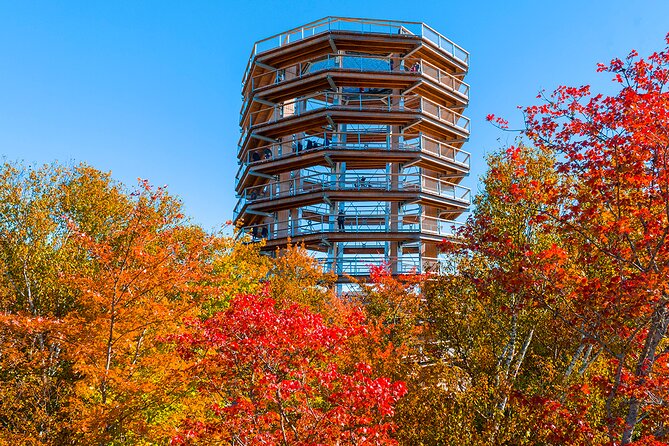 Treetop Observatory and Walk - Winter needs warmer clothing than you expect