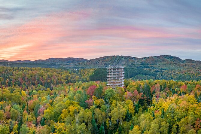 Treetop Observatory and Walk - The real location matters more than the title suggests