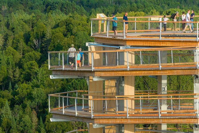 Treetop Observatory and Walk - Is $32.39 a fair price?