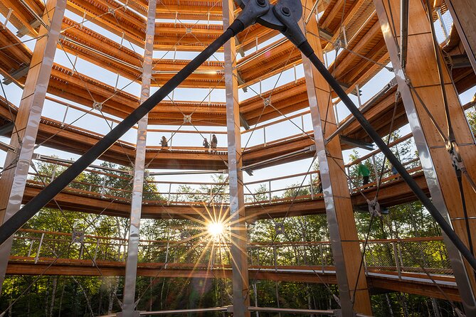 Treetop Observatory and Walk - Reaching the 40-metre tower