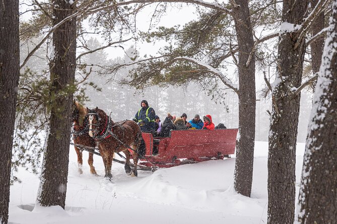Tremblant Sleighride - Key points to know before you book