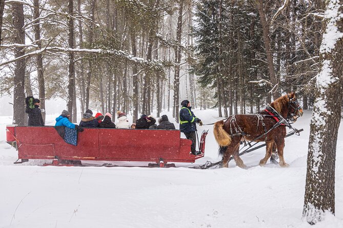 Tremblant Sleighride - Who will enjoy this most