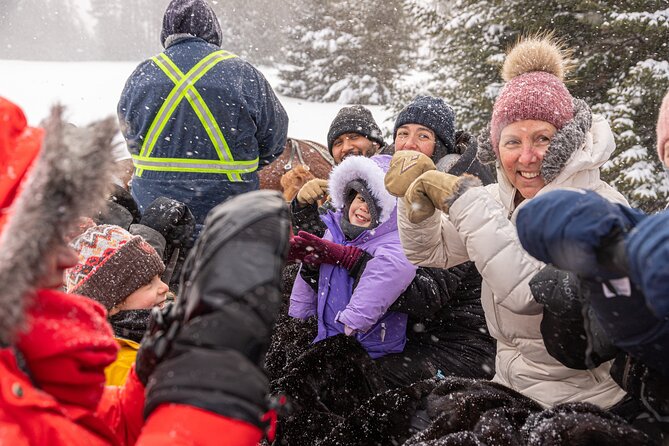 Tremblant Sleighride - Meeting the horses and settling under the blankets