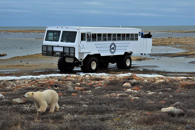 Tundra Buggy Autumn Day Tours - Riding the Tundra Buggy into the Wildlife Management Area