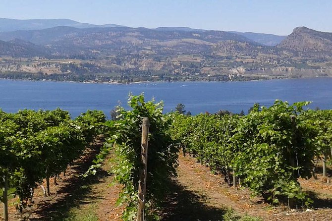 Unmatched Private Wine Tours for Up to 11 in Kelowna Area - Indigenous World Winery adds culture and unusual bottles
