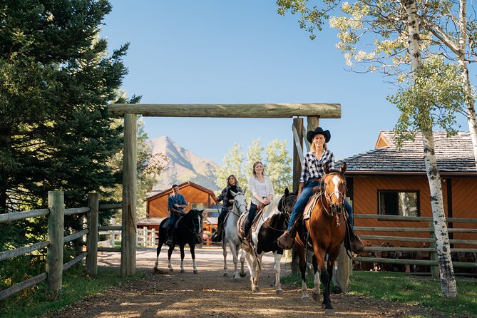 Valley Vista 1.5 Hour Horseback Trail Ride in Kananaskis - A 1.5-hour ride with a little more range